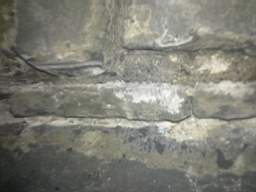 millstreet 12980.jpg